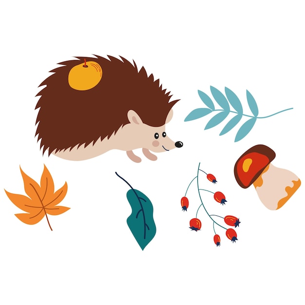 Vector hand drawn autumn orange green pumpkins and autumn halloween leaves umbrella mushroom acorns