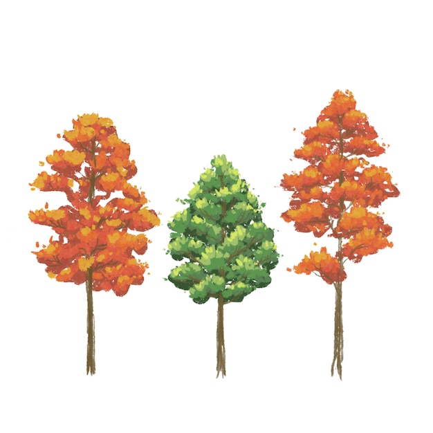 Raccolta disegnata a mano dell'illustrazione dell'albero di autunno