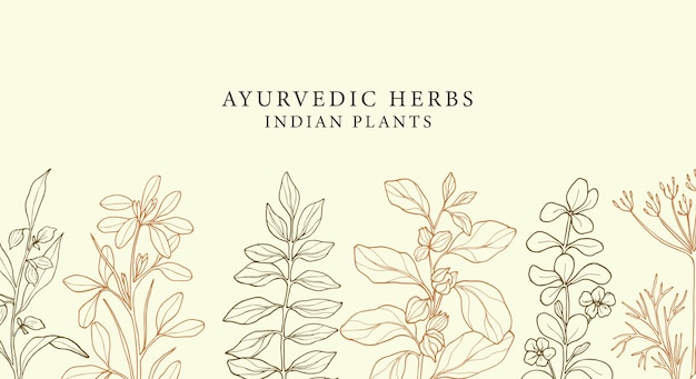 Hand drawn ayurvedic herbs background