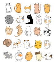 hand drawn baby cat collection