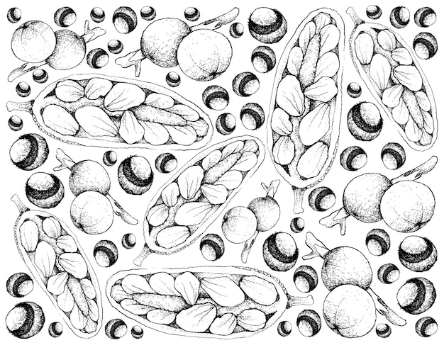 Hand drawn background of fresh cempedak and cambuca fruits