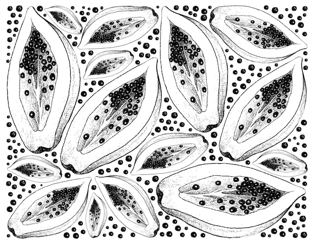 신선한 파파야 과일의 손으로 그린 배경