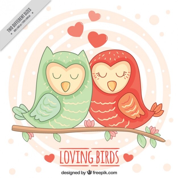 Vector hand-drawn background with loving birds