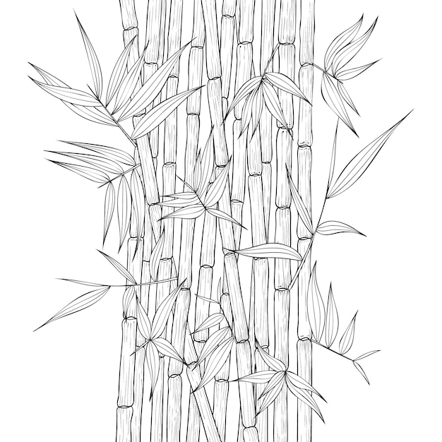 Vettore bambù disegnato a mano isolato su bianco