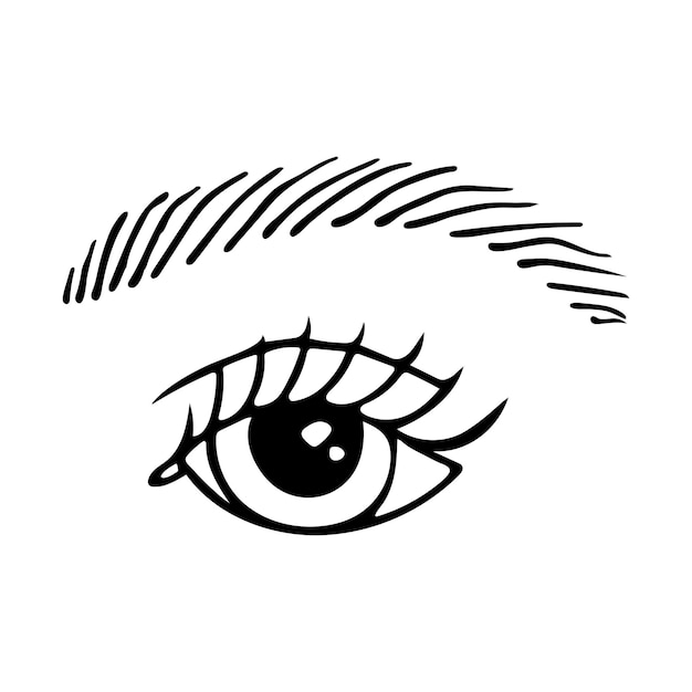 Occhio bellissimo disegnato a mano con ciglia lussureggianti illustrazione vettoriale isolata su bianco