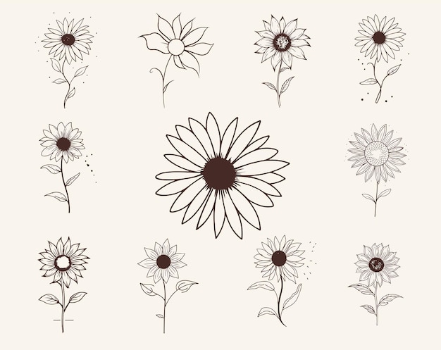 Hand drawn beautiful sunflowers in minimalist style