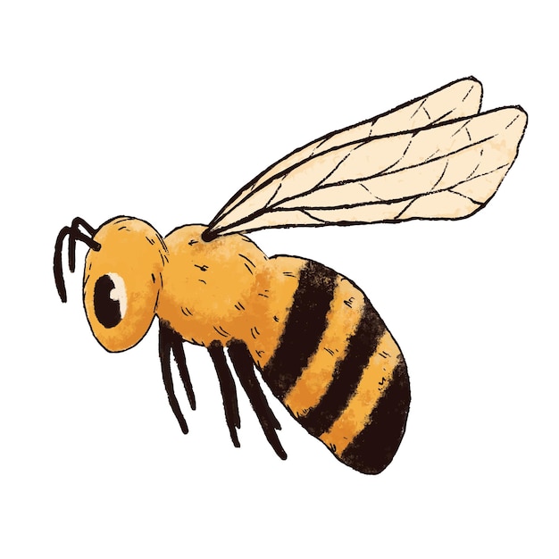 Hand drawn bee