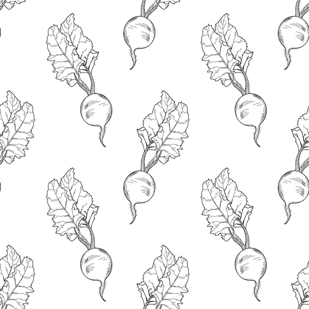 Vector hand-drawn beetroot seamless pattern.