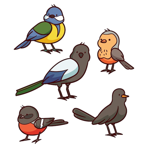 Vector hand drawn bird collection