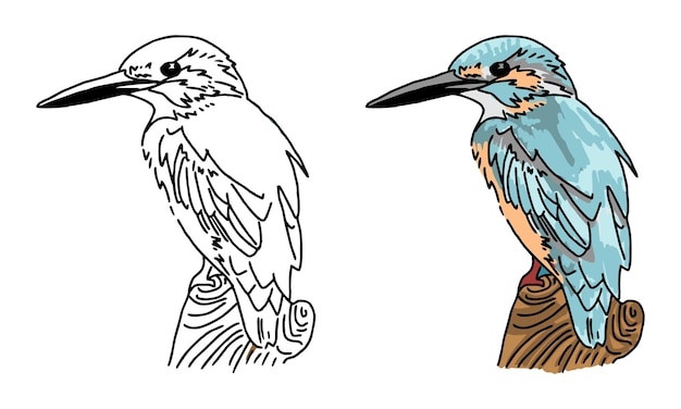 hand drawn bird coloring page for kids
