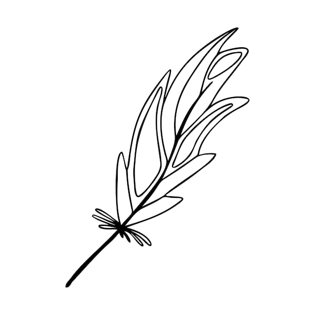 Hand drawn bird feather