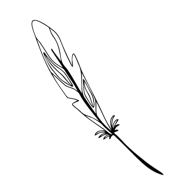 Hand drawn bird feather