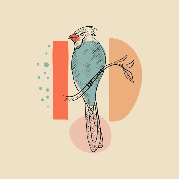 Vector hand drawn bird illustration 3