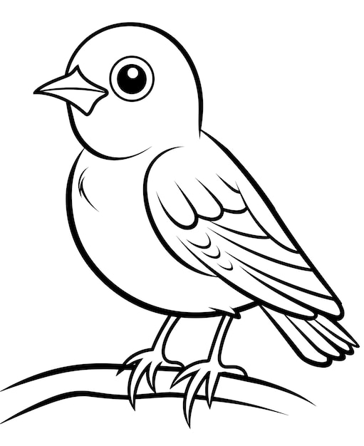 Premium Vector | Hand drawn bird outline illustration cute bird for ...