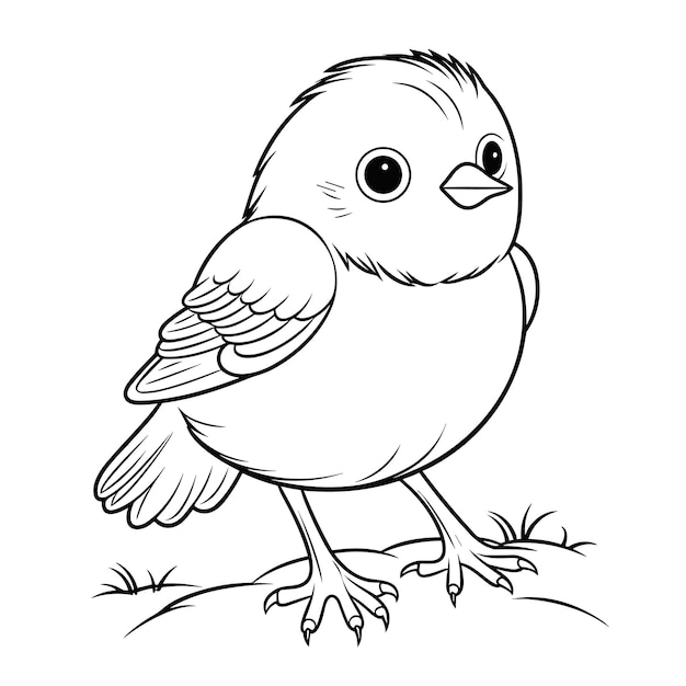 手描きの鳥の概要イラスト子供のためのかわいい鳥の着色ページ白黒