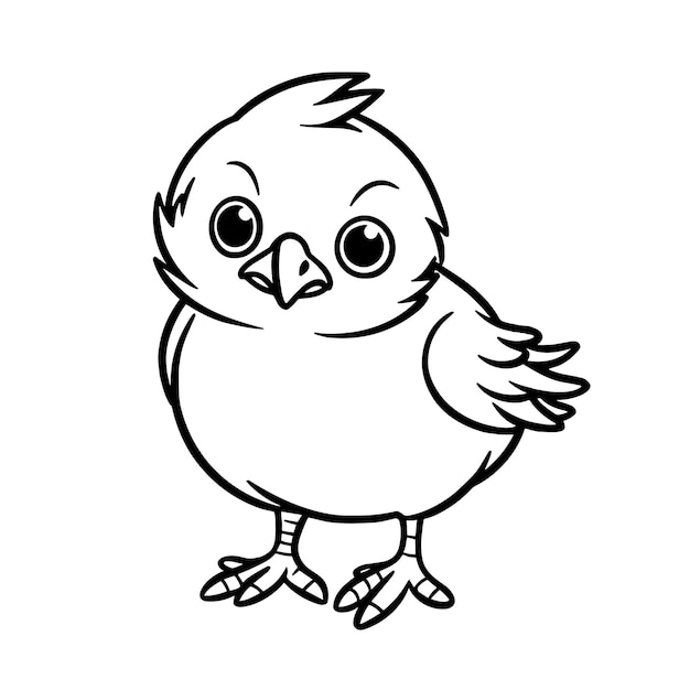 hand drawn bird outline illustration Premium vector Cute Bird for kids coloring page