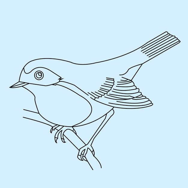 Vector hand drawn bird outline illustration