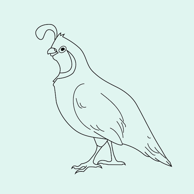 Vector hand drawn bird outline illustration