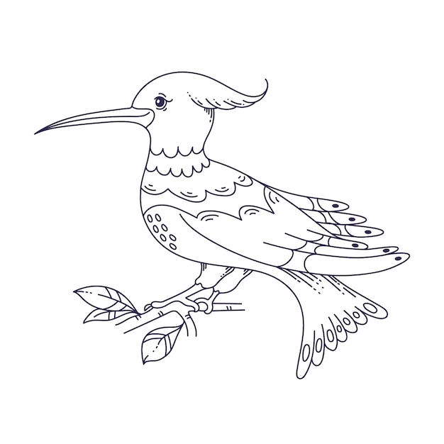 Hand drawn bird outline illustration