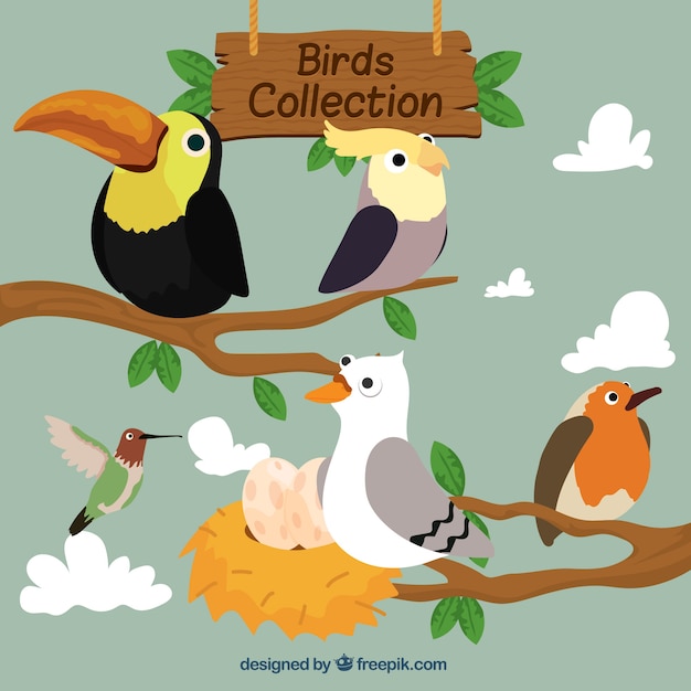 Vector hand drawn birds on branches