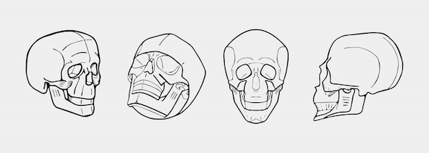 手描きの白黒の頭蓋骨がセットされています