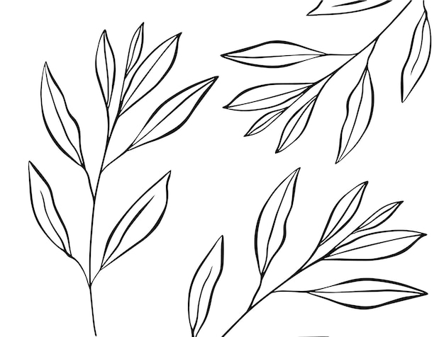 Hand drawn black color line art leaves set in pattern