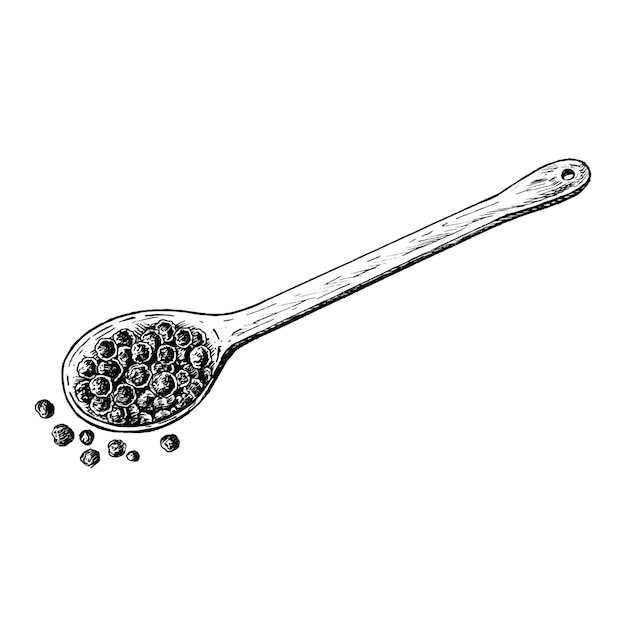 Vettore granello di pepe nero disegnato a mano