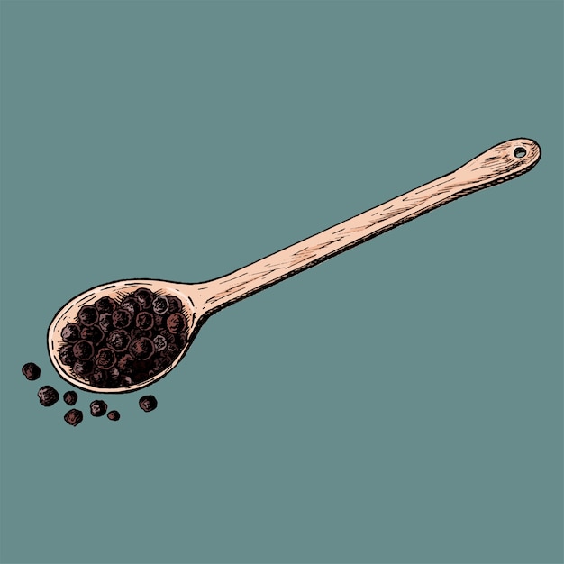 Vector hand drawn black peppercorn