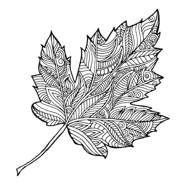 Vector hand drawn black and white autumn leaf