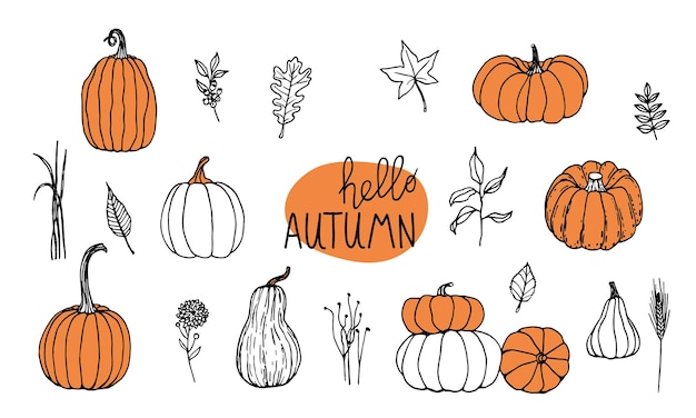 Hand drawn black and white set of pumpkins with twigs grass and leaves Cartoon outline of vegetables in doodle style Symbol of autumn harvest and Halloween