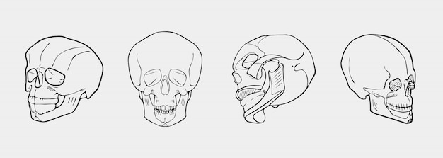 手描きの白黒の頭蓋骨がセットされています