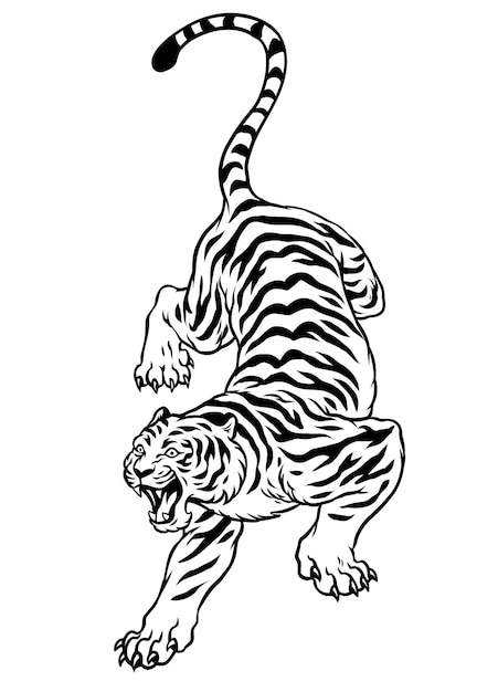 Hand Drawn of Black and White Style Tiger