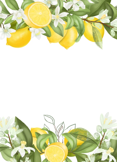 hand drawn blooming lemon tree branches, flowers and lemons.