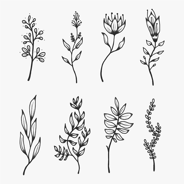 Hand drawn botanical decorative elements set