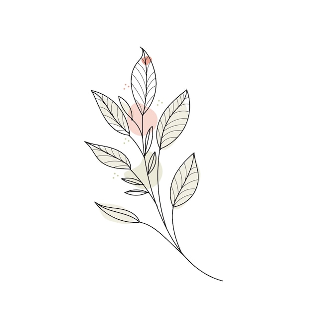 Hand drawn botanical elements