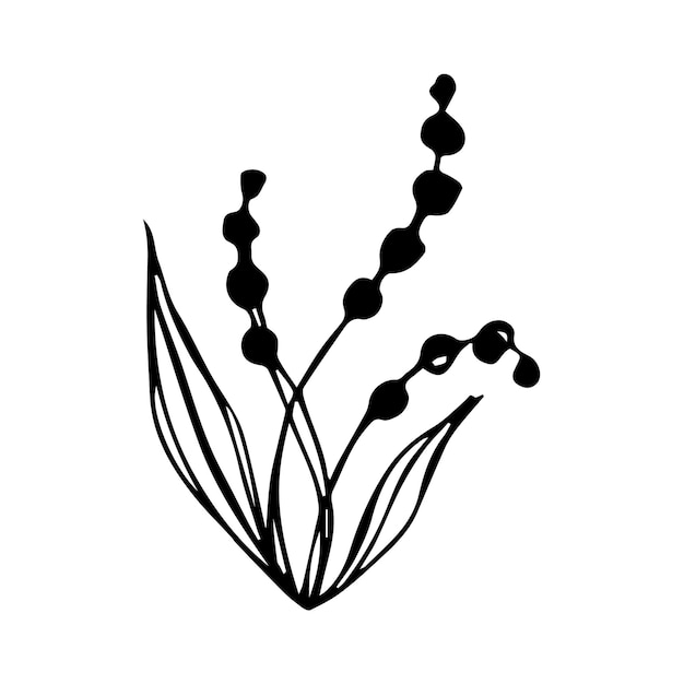 Ручной рисунок ботанического цветочного каракуля для концепции цветочного дизайна