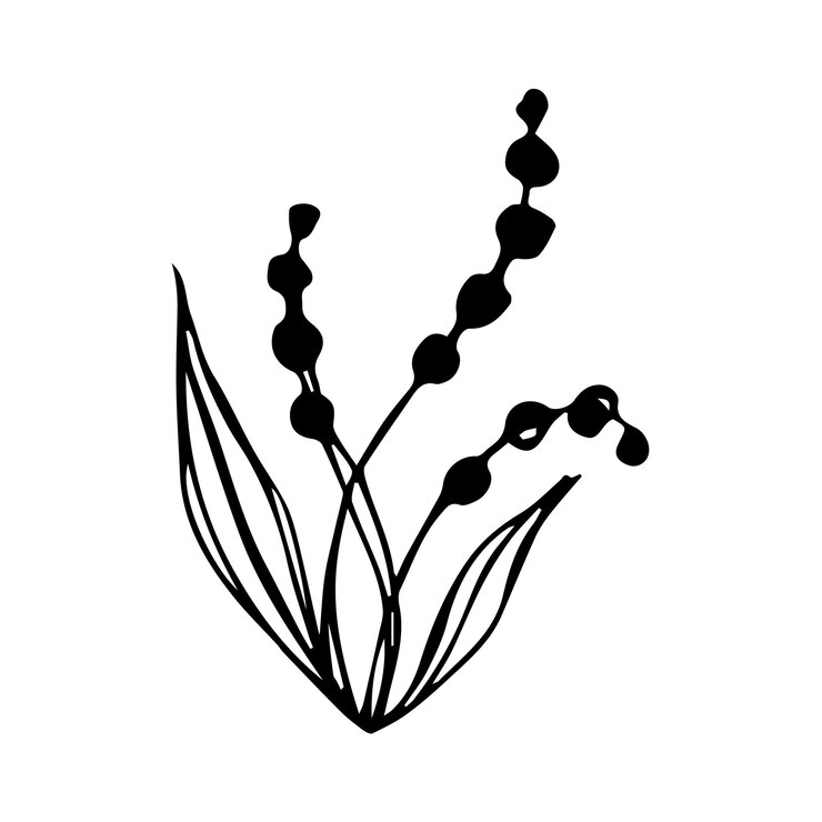 Hand drawn botanical flower doodle element for floral design concept