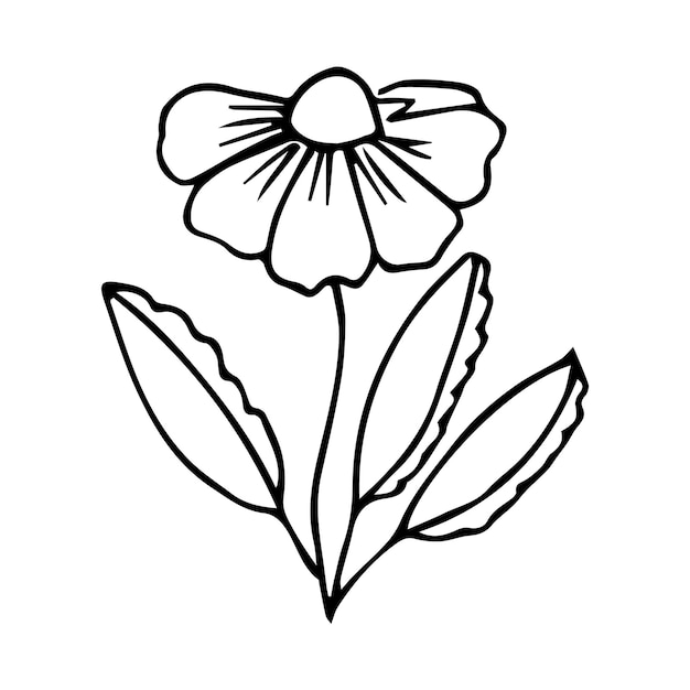 Hand drawn botanical flower doodle element for floral design concept