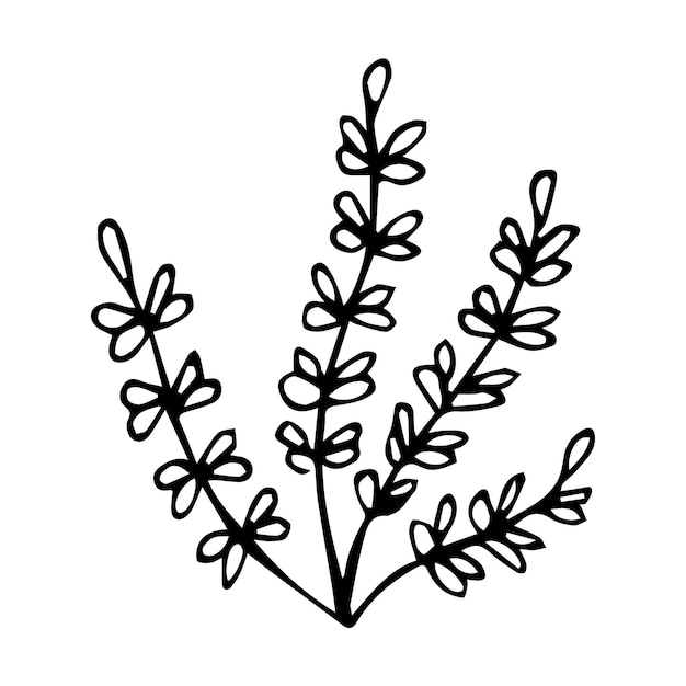 Hand drawn botanical flower doodle element for floral design concept