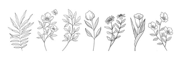 Vector hand drawn botanical flowers set