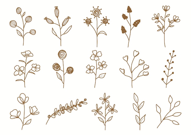 Foglie e fiori botanici disegnati a mano per la decorazione