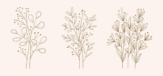 Hand drawn botanical set leaves and flowers for decoration