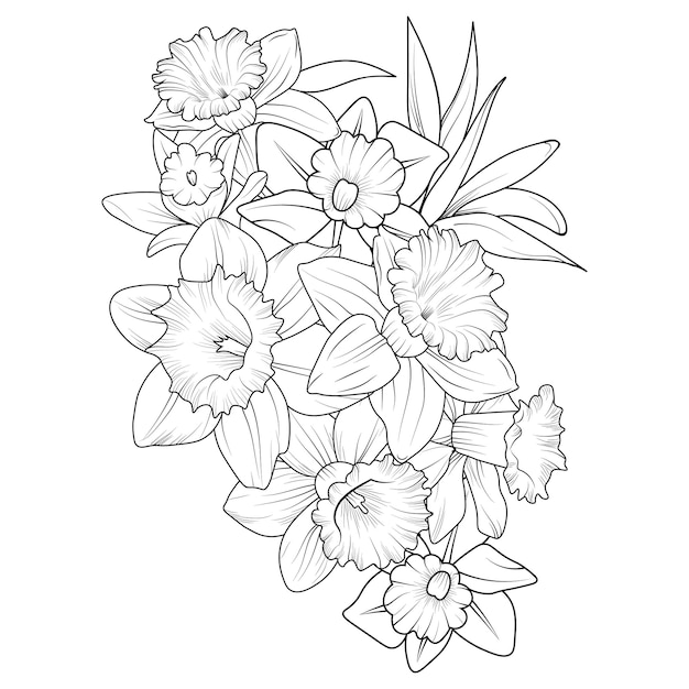 Hand-drawn botanical spring elements bouquet of daffodil flower line art coloring page for adults.