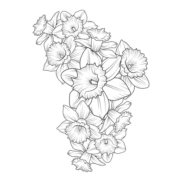 Hand-drawn botanical spring elements bouquet of daffodil flower line art coloring page for adults.