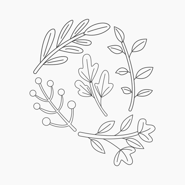 Vector hand drawn botanical wreath with leaves and flowers vector illustration