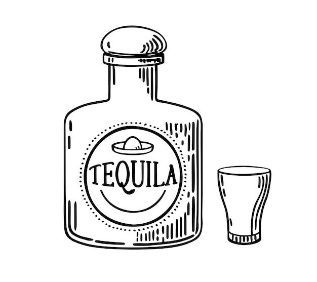 Hand drawn bottle of tequila with a glass Glass Bottle with strong drink Vintage Mexican tequila