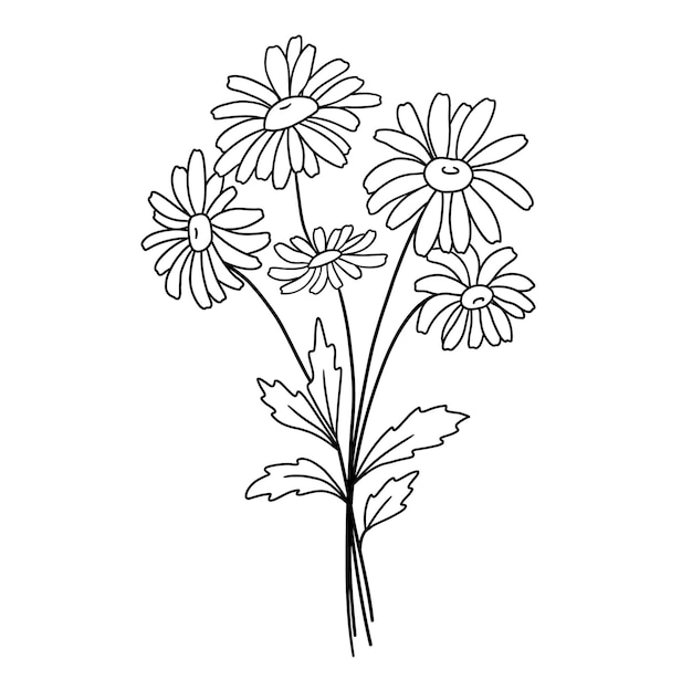 ヒナギクの手描きの花束