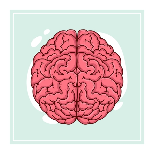 Vector hand drawn brain drawing illustration