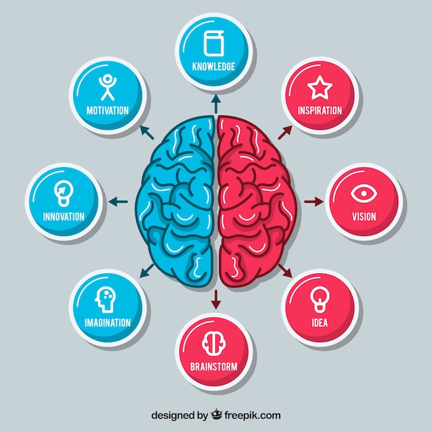 Vector hand drawn brain with icons