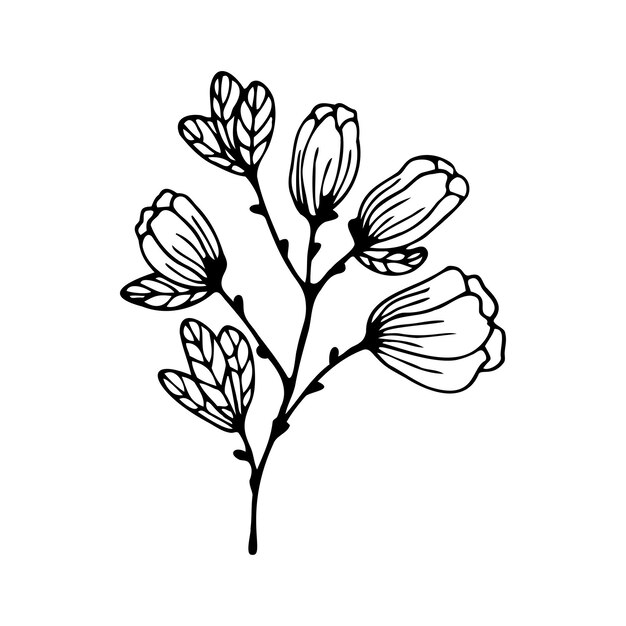 hand drawn a branch of a flowering tree